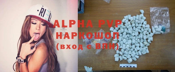 apvp Гусев