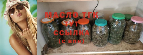 apvp Гусев