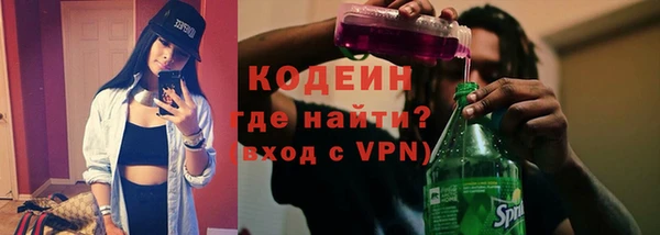 apvp Гусев